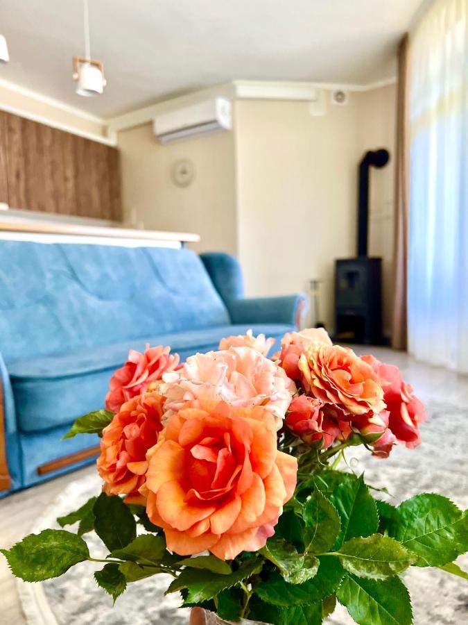 Авіа Apartment Uzhhorod Ngoại thất bức ảnh
